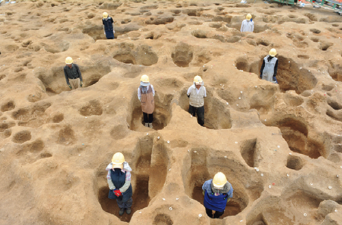 上野遺跡「大型掘立柱建物跡」