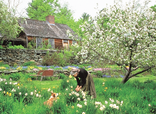 Photographs by Richard W. Brown