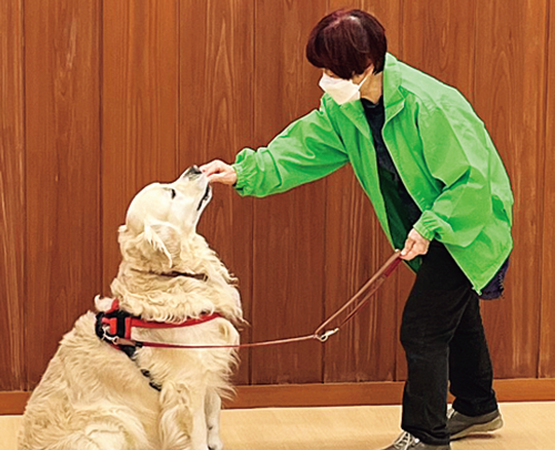 犬の飼い方・しつけ方セミナー