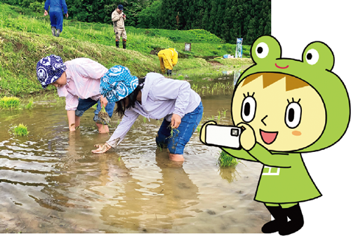 「棚田県にいがた」フォトコンテスト