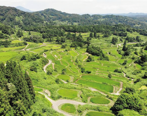 にいがた棚田みらい創造会議
